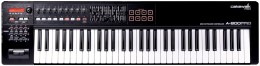 Roland A-800PRO-R  USB MIDI клавиатура, 61 клавиша